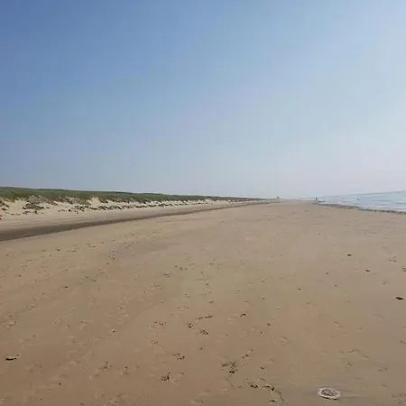 Comfortable In Near The Sea *