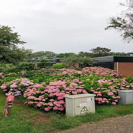 Semesterbostad Comfortable In Near The Sea *