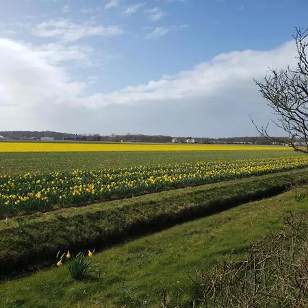 Casa vacanze Comfortable In Near The Sea Noordwijkerhout