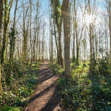 Casa vacanze Comfortable In Near The Sea