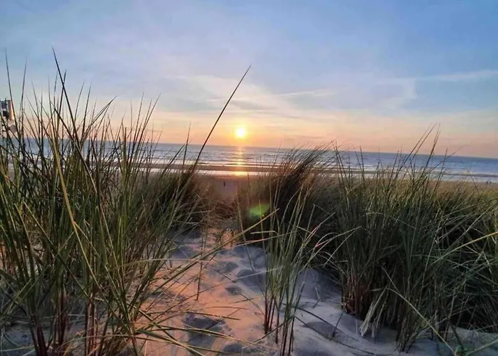 Comfortable In Near The Sea 別荘 ノールトウェイケルハウト　