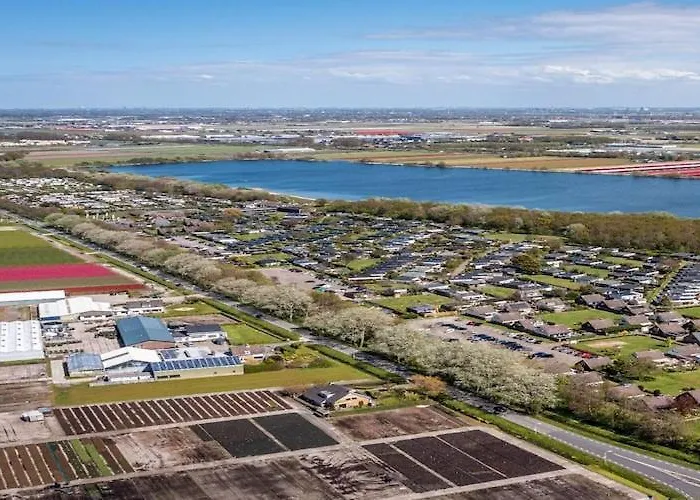 Comfortable In Near The Sea *