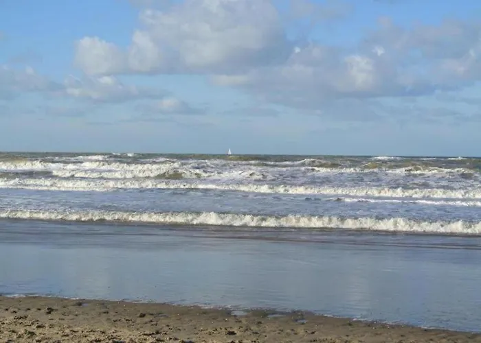 Comfortable In Near The Sea