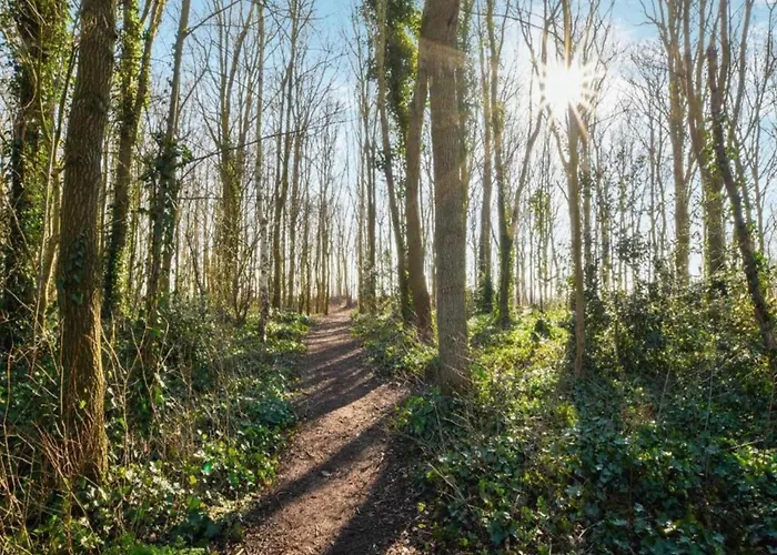 Сasa de vacaciones Comfortable In Near The Sea