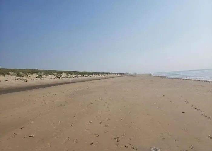 Comfortable In Near The Sea *