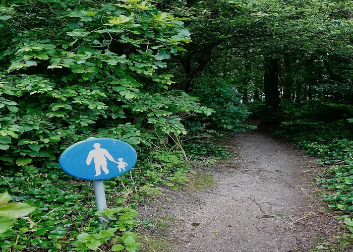 Comfortable In Near The Sea