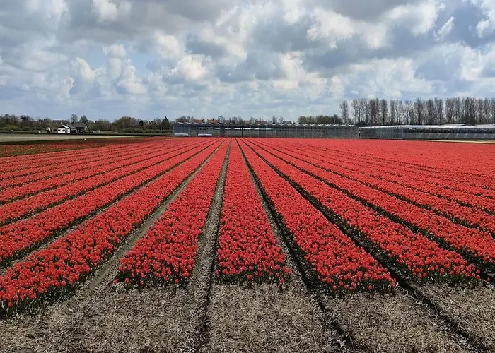 Comfortable In Near The Sea * Noordwijkerhout