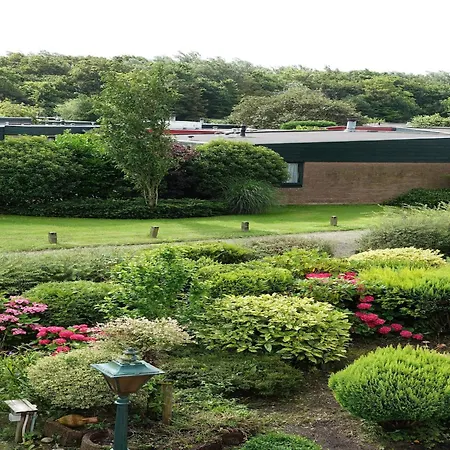 Comfortable In Near The Sea