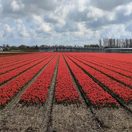 Comfortable In Near The Sea Дом отдыха Нордвейкерхаут