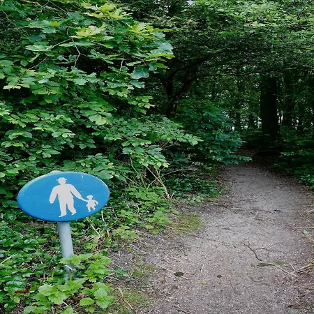 Comfortable In Near The Sea *