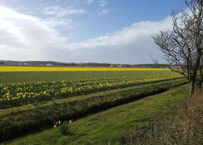 Hébergement de vacances Comfortable In Near The Sea Noordwijkerhout