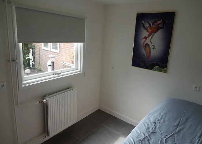 Comfortable In Near The Sea *